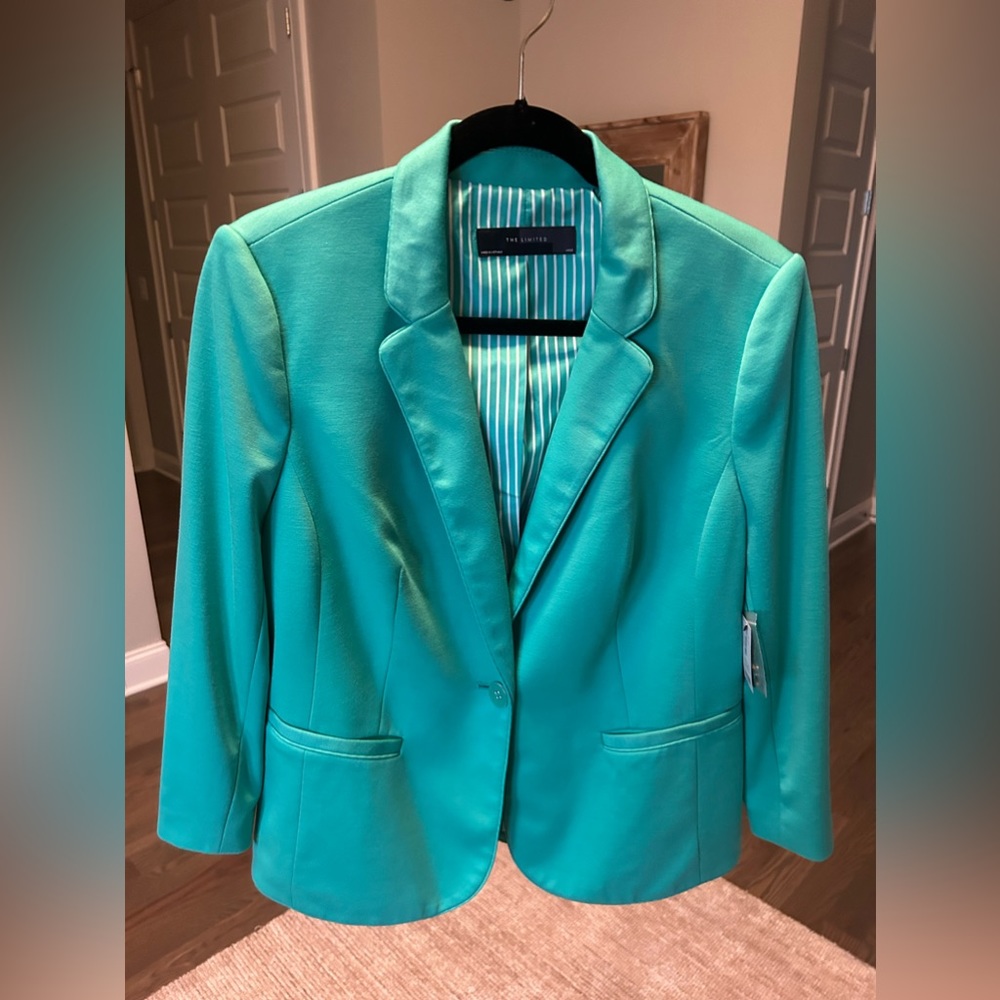 BRAND NEW The Limited Blazer | size L